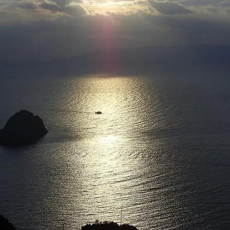 Sole